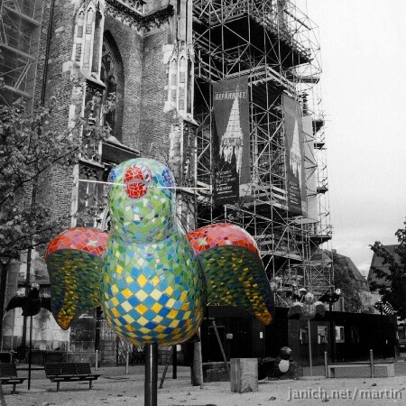 copyright Janich 9