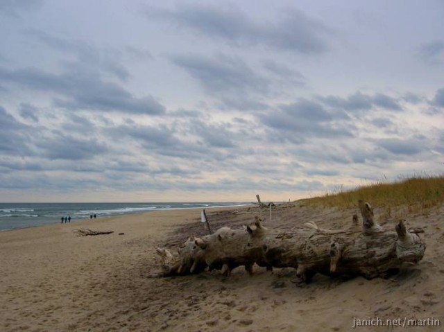 copyright Janich 4