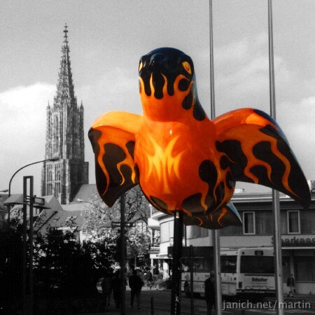 copyright Martin Janich 3