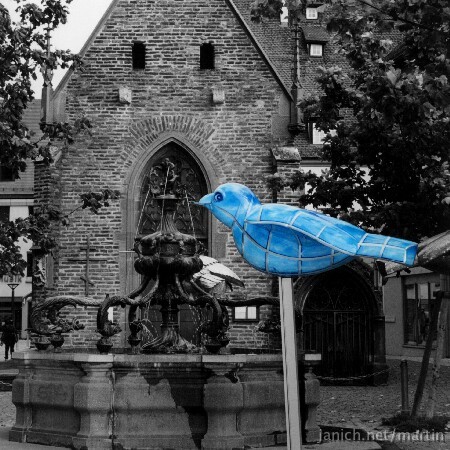 copyright Martin Janich 6