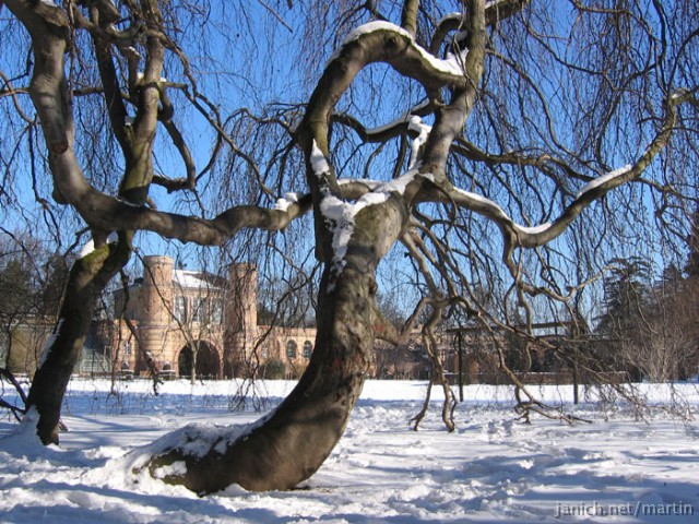 copyright Martin Janich 3