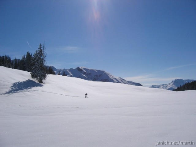 copyright Martin Janich 1
