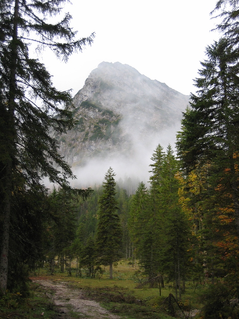 copyright Martin Janich 11