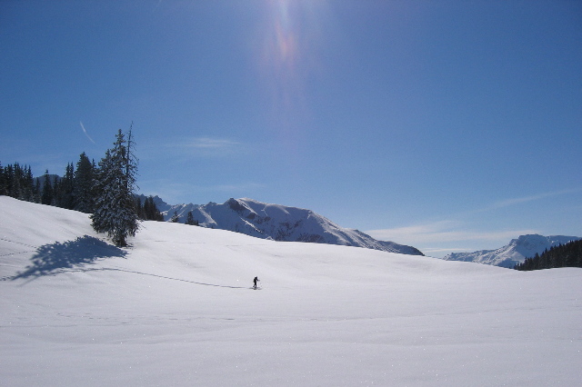 copyright Martin Janich 2