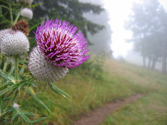 copyright Martin Janich 9